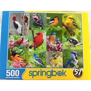 Birds of a Feather 500 Piece Springbok Jigsaw Puzzle